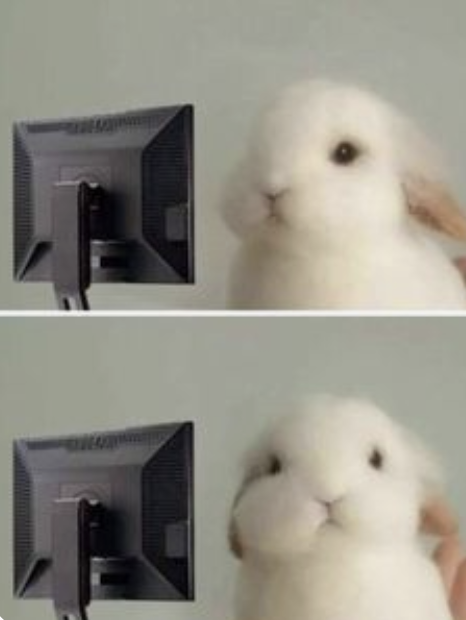 wie ich grafiken über mein weihnachtsfamiliendrama mache hehe