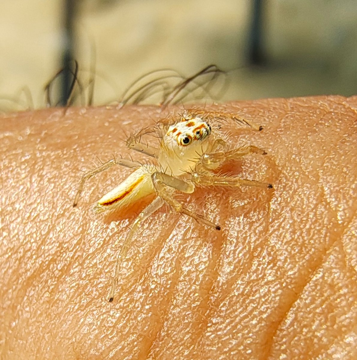 इनको भी नहीं पता होगा कि आज इनकी फोटो X पर अपलोड हो चुकी है।