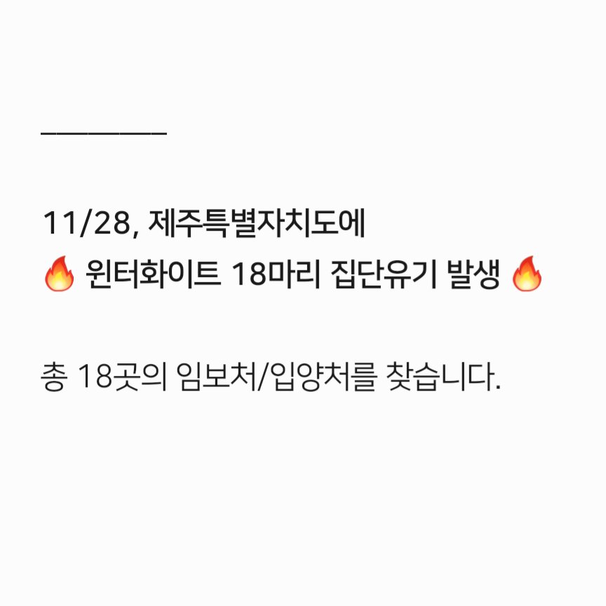 컷오프 프로젝트 tweet media