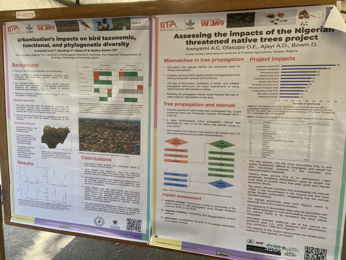 💃💃🎉🎊✨✨

Excited to share sights at the IITA Forest Center stand during the #poster session of the #IITAwpw2024.

We get to present the impact the @IITA Forest Center has made #propagating #nativetrees and #conserving #birds.

#impact #sharing #scientists #iitaforestcenter