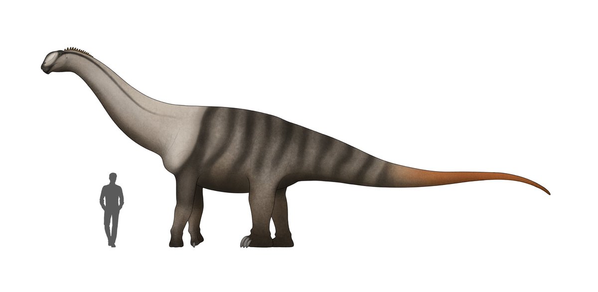 Jæssica ßababi (คนไทยน้าาาา) tweet media