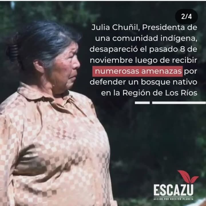humedalesbiobio's tweet photo. 😰😰 Ya han pasado más de 19 días en oscuridad y sin respuesta😭 Presidenta de la comunidad indígena Putreguel, Julia se encontraba trabajando arduamente por la conservación de un bosque nativo en la comuna de Mafil cuando desapareció sin dejar rastro alguno
@EscazuAhoraCl https://t.co/QR3zAIL6Xd