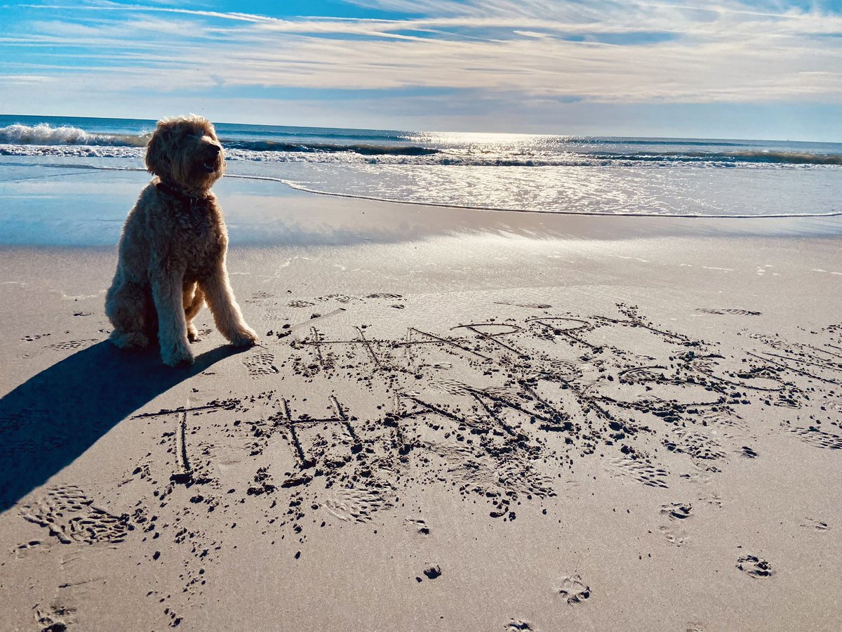 coastbrands's tweet photo. We are thankful for YOU! 🙏🏻❤️
Save 25% + free shipping on U.S. orders over $75! 

Use code “grateful” now through 12/1. 
#dog #Thanksgiving2024 #dogproducts #sale #madeintheusa https://t.co/FW2w7u9lmt