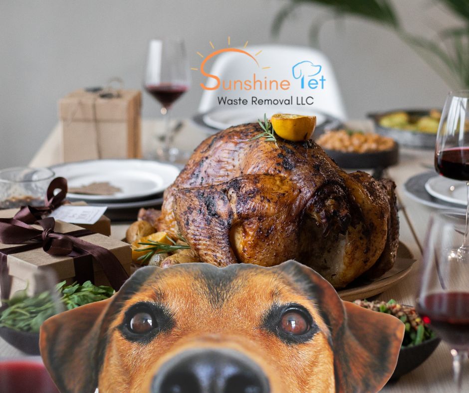SPWRLLC's tweet photo. 🦃🍂 Happy Thanksgiving from Sunshine Pet Waste Removal LLC! 🍂🦃

We’re grateful for wagging tails, barks of love, and all the joy our dogs bring. Here’s to a day filled with family, friends, and full hearts. 🧡🐾

✨ #Thankful #HappyThanksgiving https://t.co/bgl2D7ybIl