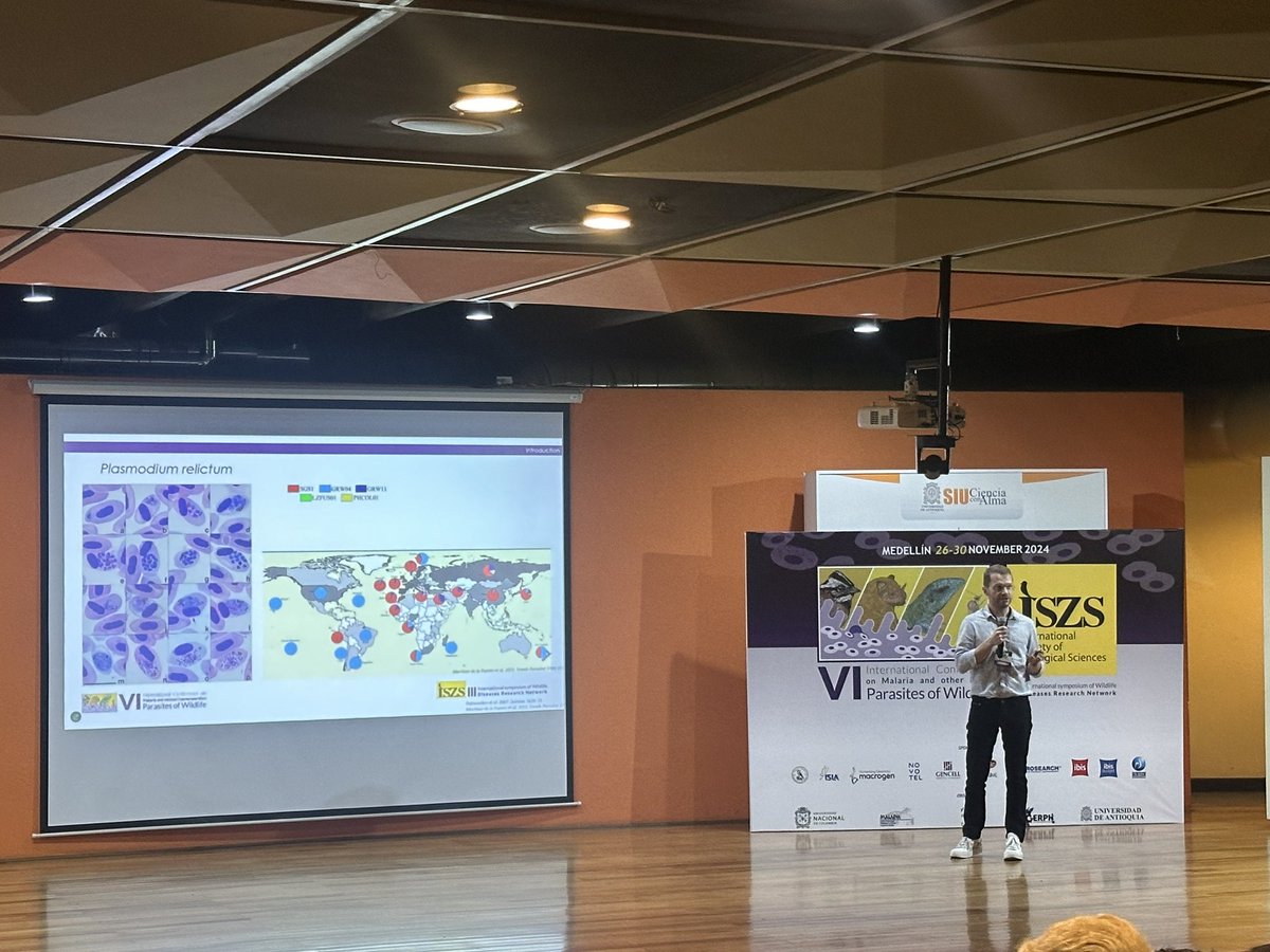 Edward C Netherlands tweet media