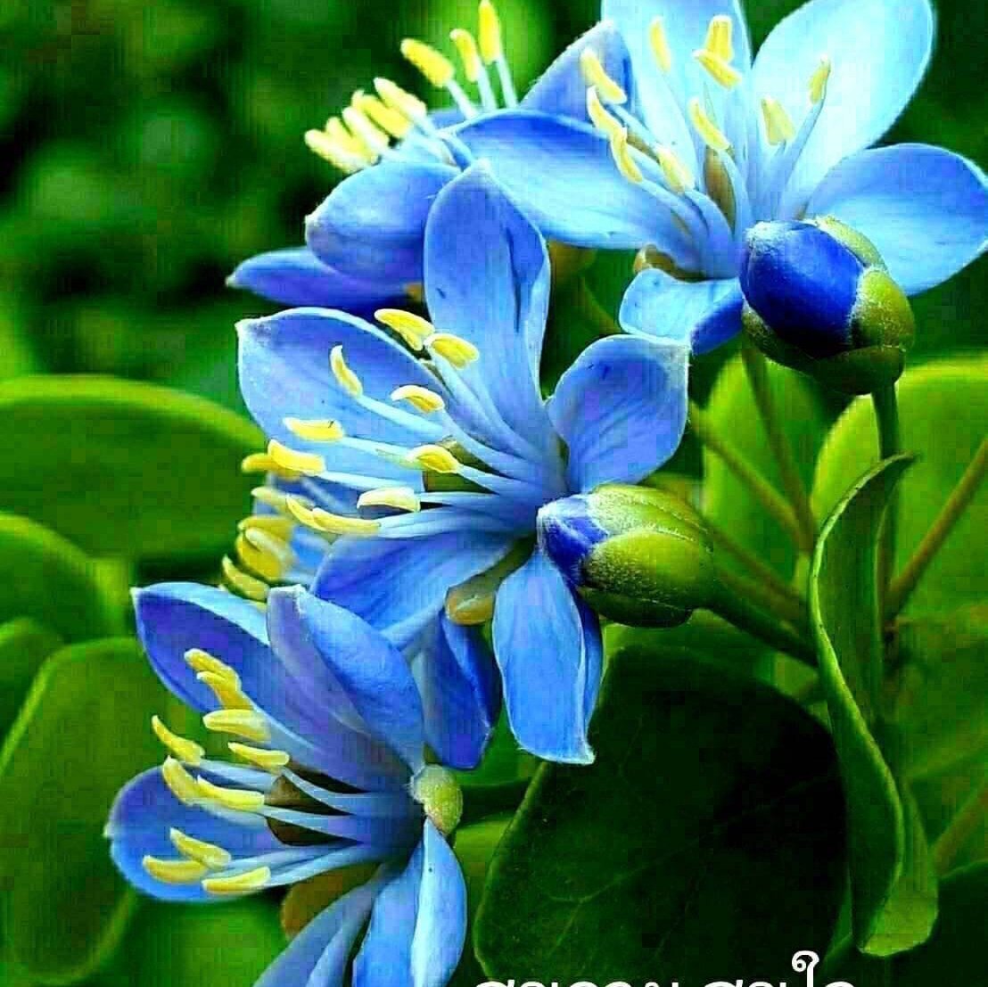 MgmgGyi05925893's tweet photo. #NewProfilePic https://t.co/orgS81g995