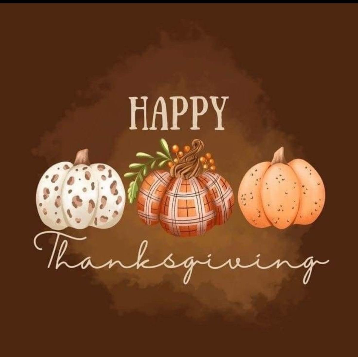 Wishing everyone a Happy Thanksgiving 🍂 Be safe. #HappyThanksgiving #thanksgivingvibes #givethanks #holiday #holidays #holidayseason