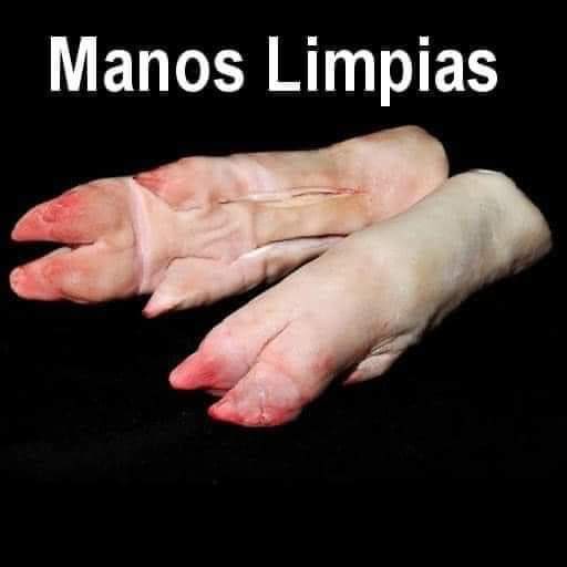 JXiminis37251's tweet photo. @teacher2o23 Al talego Ya!!!! https://t.co/FiC8wKP09e