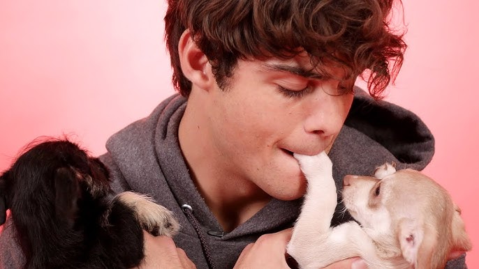 Noah Centineo - "Dogs teach us unconditional love and loyalty, and that’s the most valuable lesson in life."