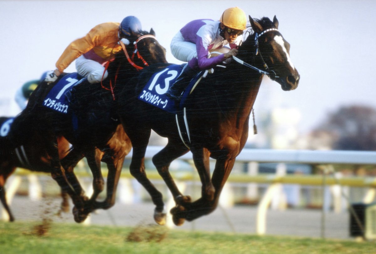 スペシャルウィーク は1997年の11月29日にデビューしました。翌年の