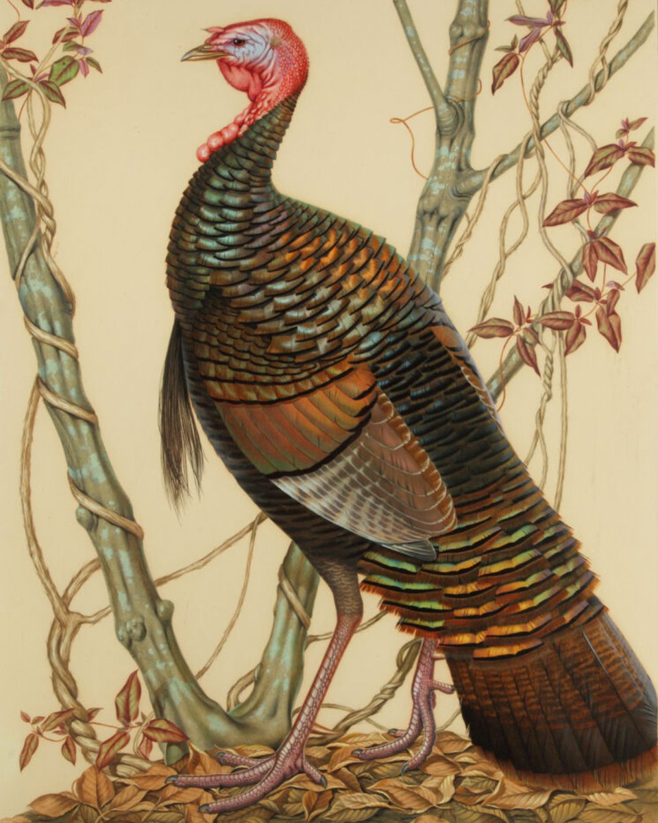 Feeling thankful today! 🦃

Happy Thanksgiving! Just a reminder that we are closed today, but will be back open tomorrow during regular museum hours!
_____
Athos Rodolfo Menaboni (American, born Italy, 1895–1990), Wild Turkey, 1945, oil on paper, Gift of Robert W. Woodruff, 45.2.