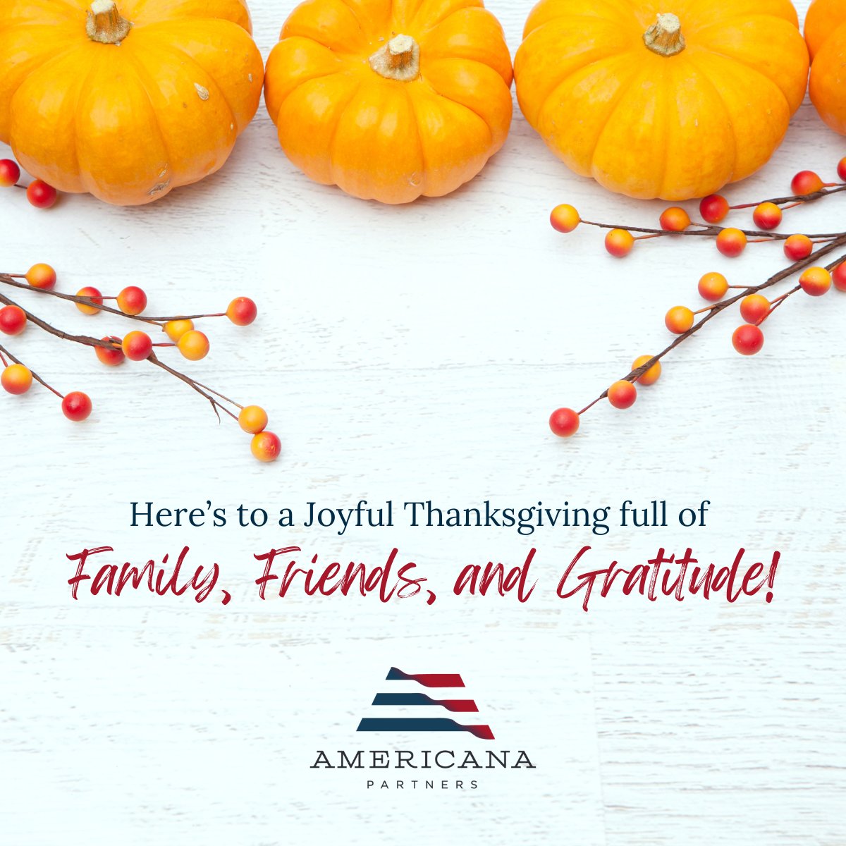 americanaprtnrs's tweet photo. Happy Thanksgiving! May your holiday be filled with gratitude, joy, and time with those you cherish. https://t.co/dXPTghUl8l