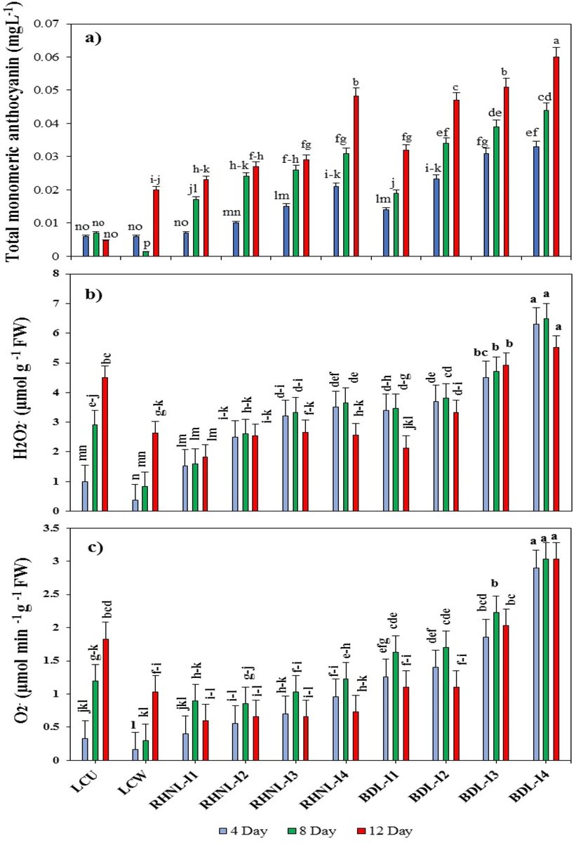The elicitation effects of diode and He-Ne laser irradiations on the alleviation of nutrient-deficiency induced damage in anthocyanin-producing red-fleshed apple cell suspension bit.ly/4eI4fK0 

#antioxidant #nutrient #deficiency #ijrb #research #radiation