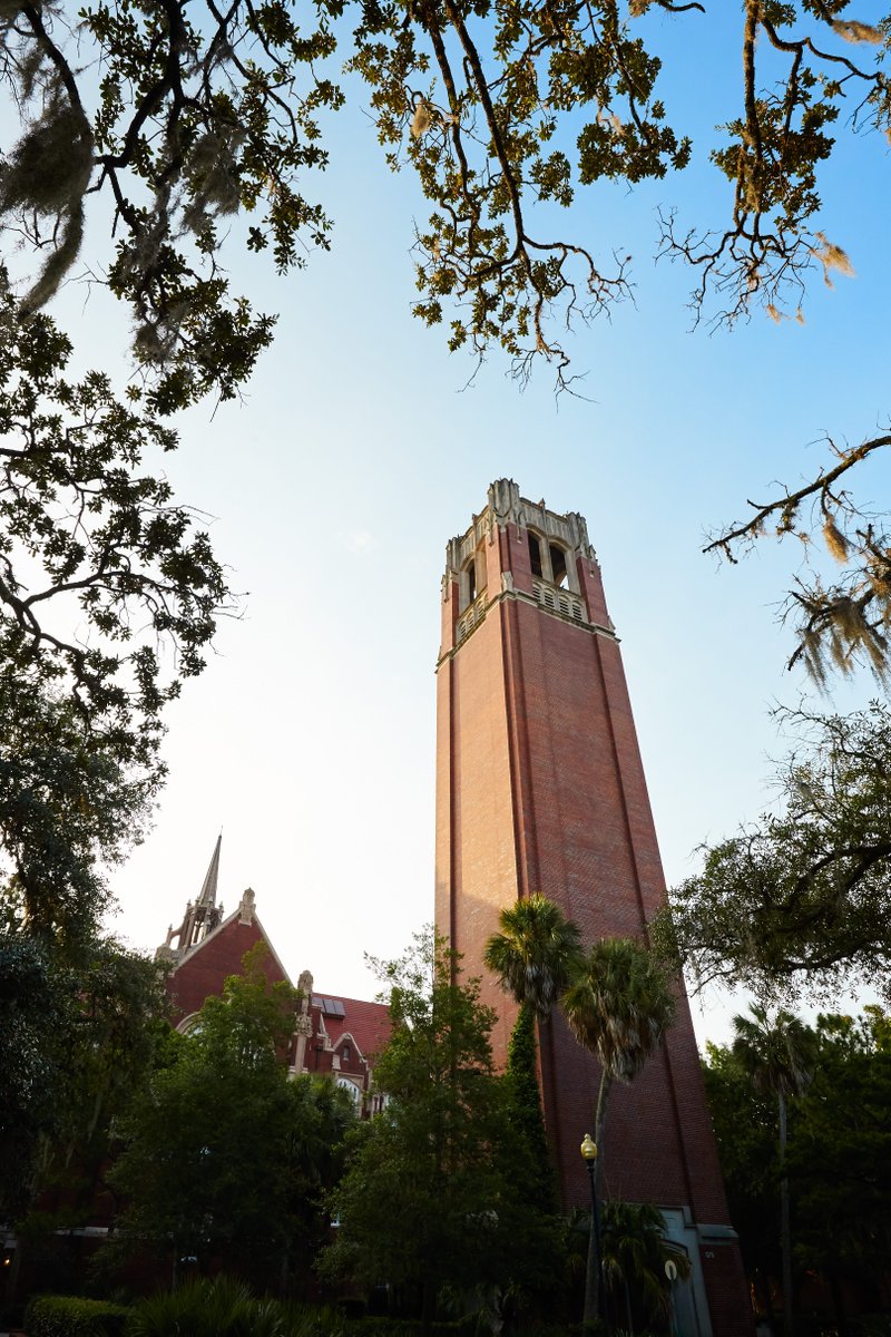 UF's tweet photo. Today and every day, we're grateful for #GatorNation. Happy Thanksgiving, Gator fam! 🐊 🦃 https://t.co/ZG129eG49D
