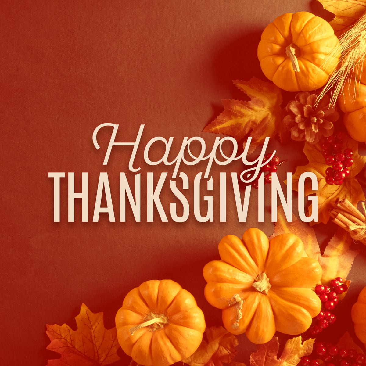 HomeLoanCo's tweet photo. 🦃 Happy Thanksgiving! Wishing you a day full of gratitude and joy with loved ones. 🍂✨ #Thankful #ThanksgivingJoy https://t.co/rwau4ottYV