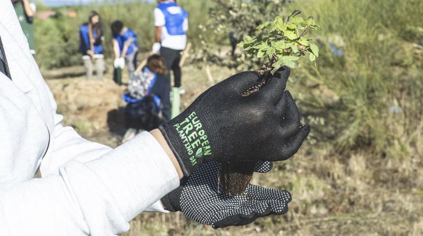 Ecoescuelas1's tweet photo. En el marco de la colaboración entre Life Terra y ADEAC, estamos en marcha con las plantaciones de European Tree Planting Day 🌳
➡️ Cerca de 50 Ecoescuelas van a participar durante este otoño con sus plantaciones de árboles y arbustos.

#ecoescuelas #ecoschools #adeac #feeglobal https://t.co/tMSuSwqZt4