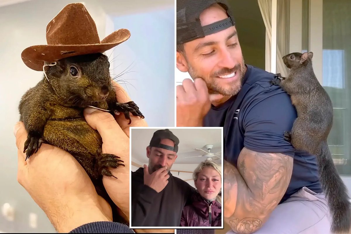 DailyLoud's tweet photo. Peanut The Squirrel’s family is now suing New York for his “execution” https://t.co/cVEOeBwC3X