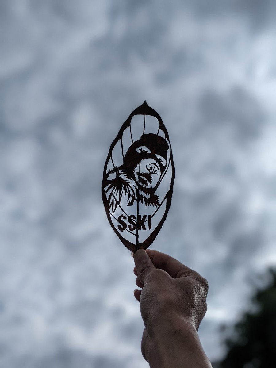 GeorgeeBush94's tweet photo. $SKI @Ski_CTO  Top Dog of base !!! 

We got some really talented hands in our Gang .Thats the best Video and Pic. Thats my Opinion $SKI FTW babe !!!! All IN !!! https://t.co/leu5ZBKHdw