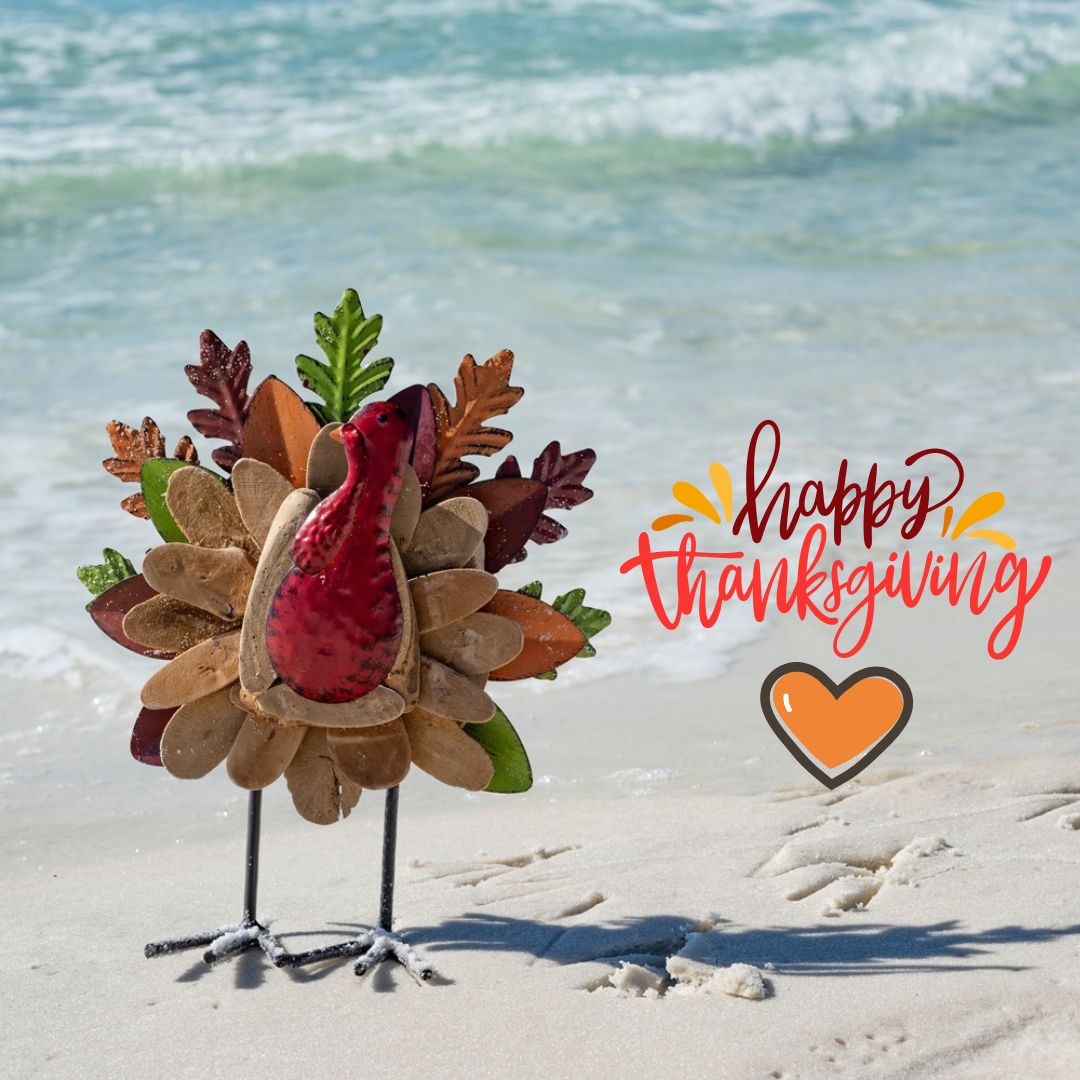 gogoletaca's tweet photo. Happy Thanksgiving from all of us at GoGoleta! 🦃🍂 This season, we’re especially grateful for our wonderful community and all of you who make Goleta such a special place to visit and call home.  🧡✨ #GoGoleta #HappyThanksgiving #ThankfulInGoleta https://t.co/oYwNIRE3j0