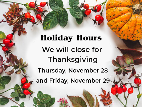Anoka County Library locations are closed for Thanksgiving on Thursday, 11/28 and Friday, 11/29. We will reopen on Saturday, 11/30.

Additional holiday hours include:
Christmas - Tuesday, 12/24 &amp; Wednesday, 12/25,
New Year's - Tuesday, 1/31 &amp; Wednesday, 1/1.