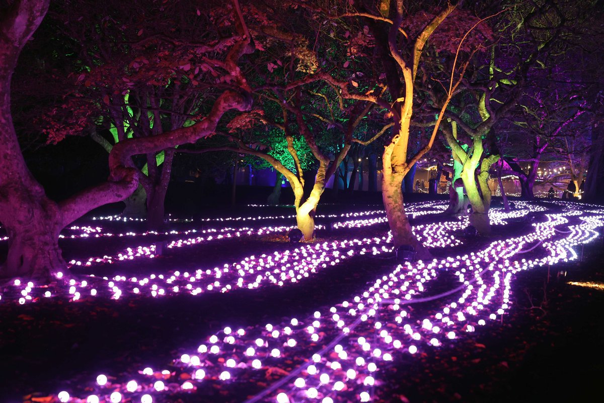 💜Customer Notice💜

We are sorry to have to cancel this weekend’s bookings (Thursday 28th Nov - Sun 1st December)

We wish to reassure all visitors, that will be open &amp; shining bright from Wednesday 4th Dec ✨

All customers will have been contacted by their ticket provider 🎟️