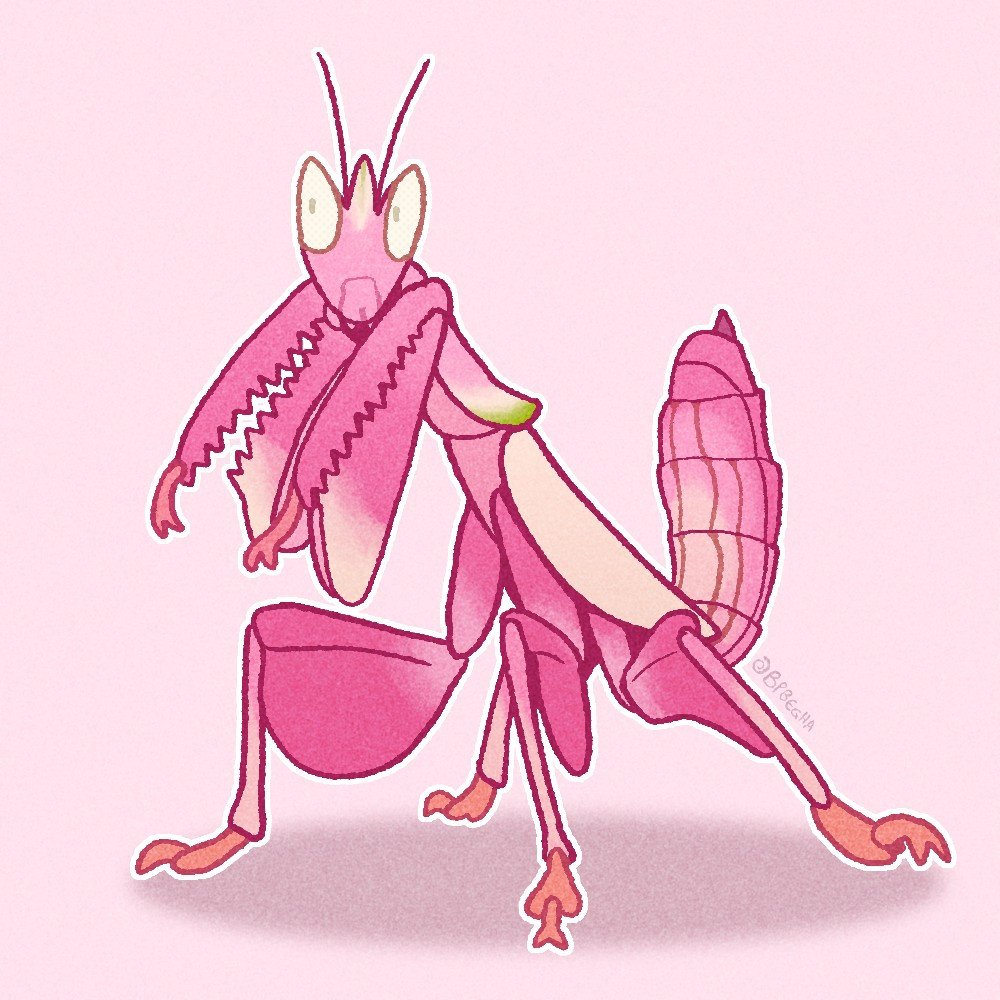 BPBegha's tweet image. Não lembro de ter postado esse, um louva-a-deus orquídea (Hymenopus coronatus) que fiz para uma amiga!
#Mantodea #Digitalart