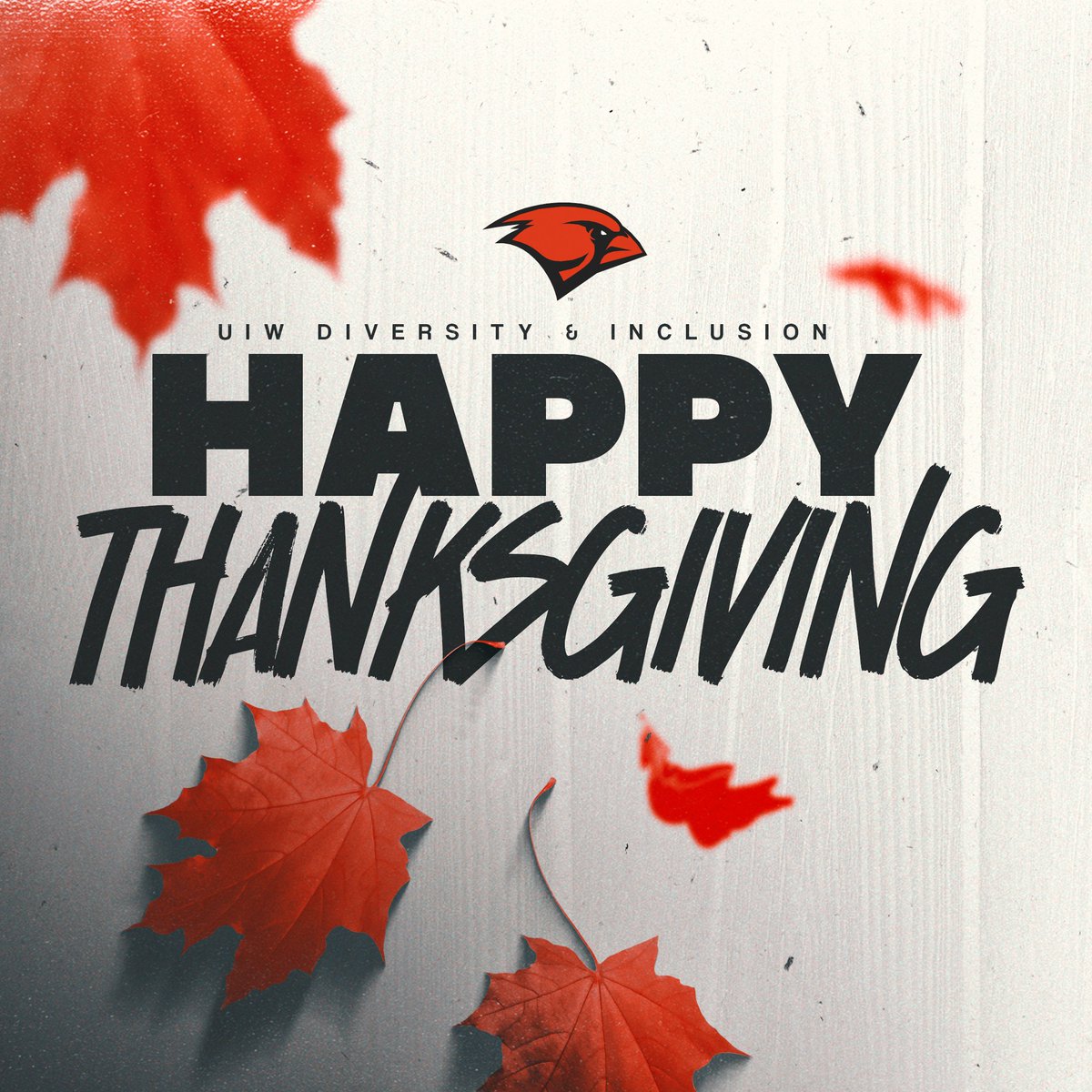 Happy Thanksgiving!

#UIW #TakeFlight