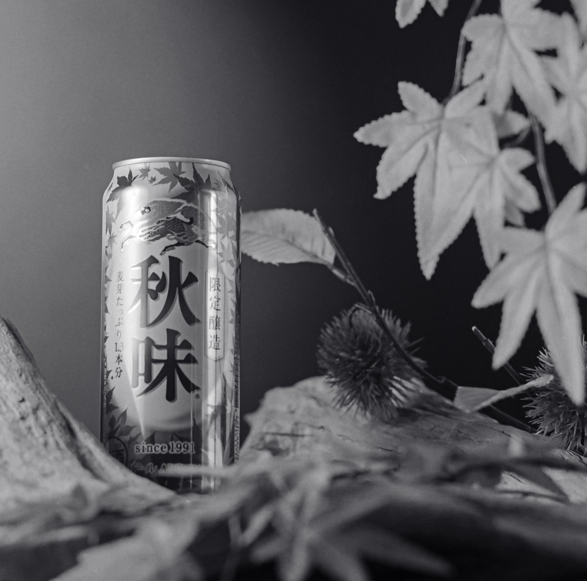 sarumac's tweet image. 秋を撮りにいく時間もないので、これで。

#ILFORD
#HP5
#MAMIYA645
#フィルムカメラ 
#自家現像