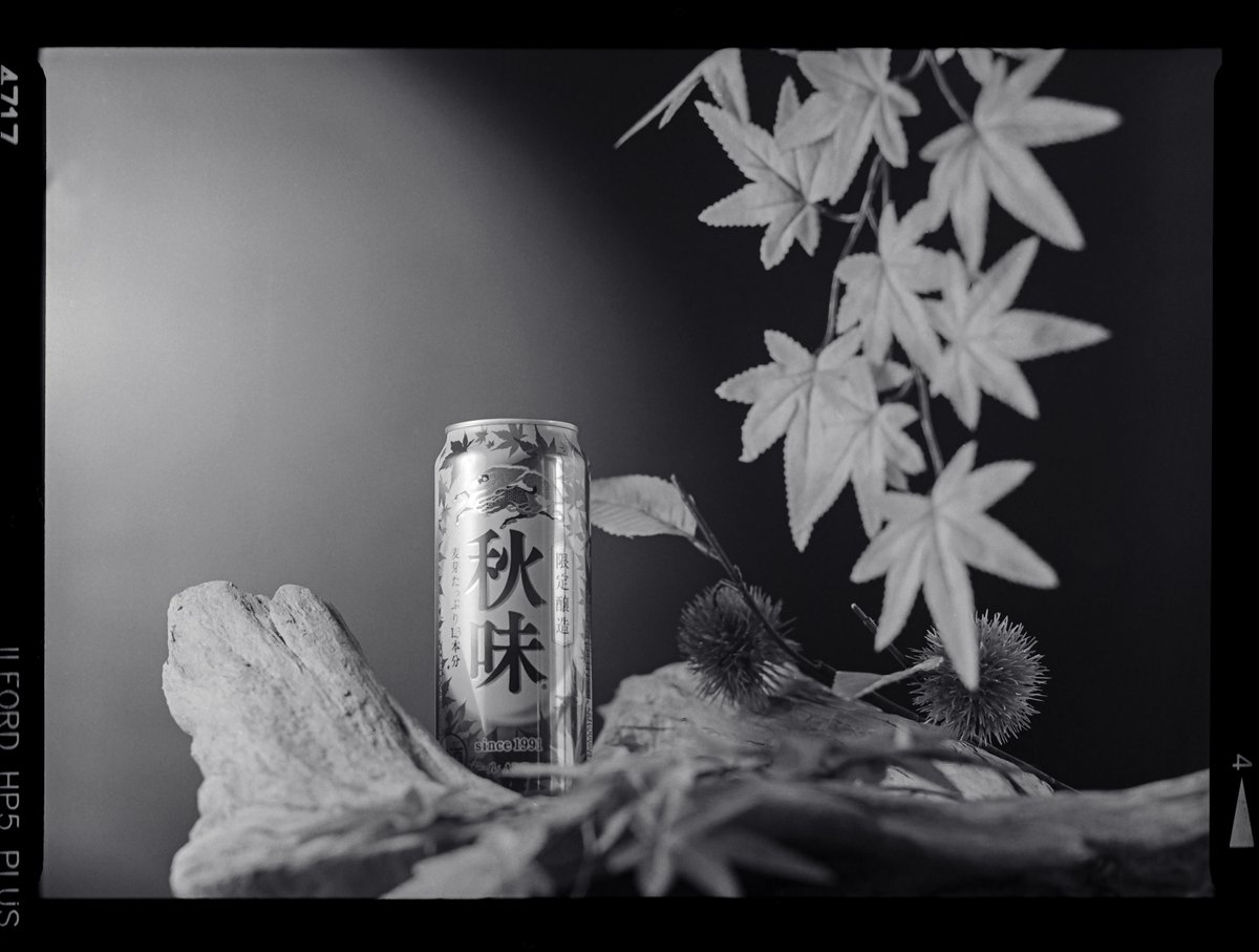 sarumac's tweet image. 秋を撮りにいく時間もないので、これで。

#ILFORD
#HP5
#MAMIYA645
#フィルムカメラ 
#自家現像