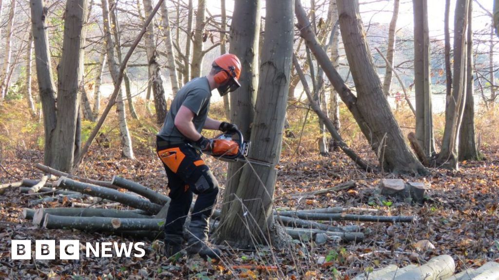 CJS News tweet media