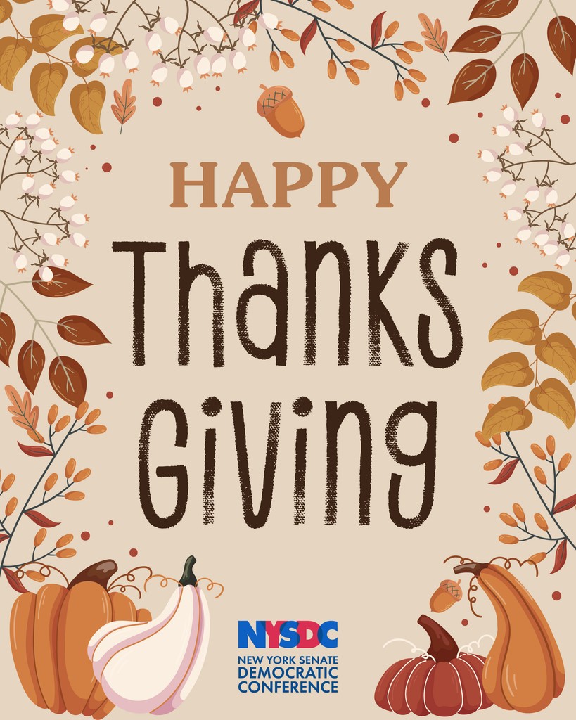 Senator Liz Krueger tweet media