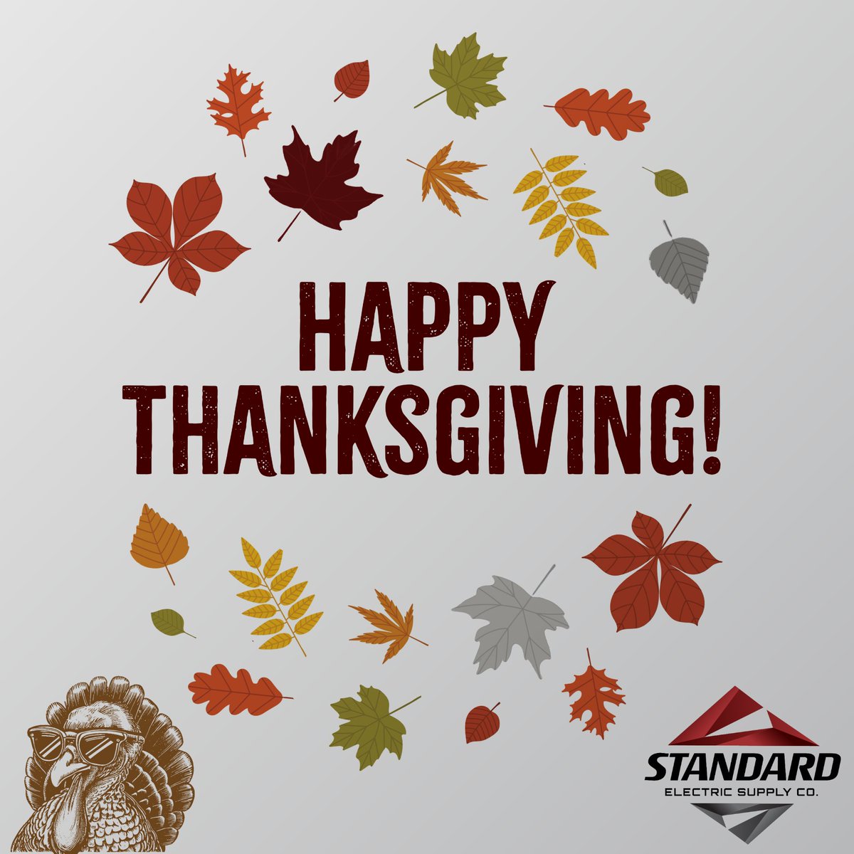 Happy Thanksgiving from Standard Electric.🦃 We hope everyone has a great day surrounded by loved ones and delicious food! 

#settingthestandard #happythanksgiving