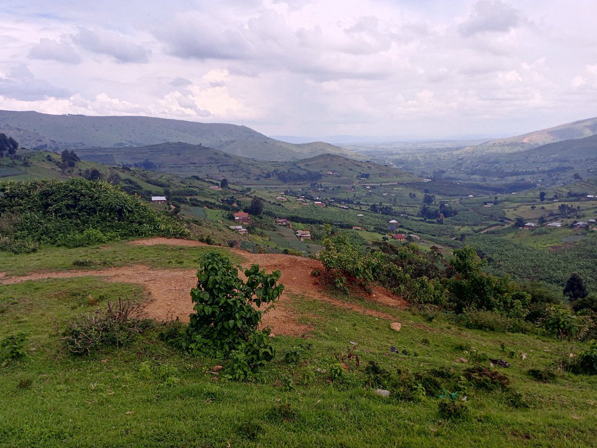 Cty_Africa's tweet photo. Day 16: #BambooBikeExpedition
Our team leader @IsaPiusBrax hit the road again today
Target: Kabale
Achieved: 44 KM to Muhanga
The bike misbehaved again, and no skilled technician to bail him out, but every challenge fuels the mission for sustainability.
#EveryKMCounts https://t.co/rJ04KZZ5rh