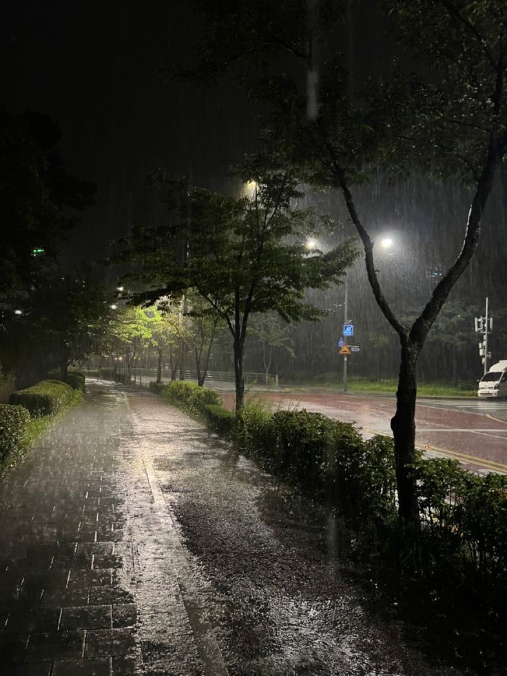 gIoomyweather's tweet image. rainy night.