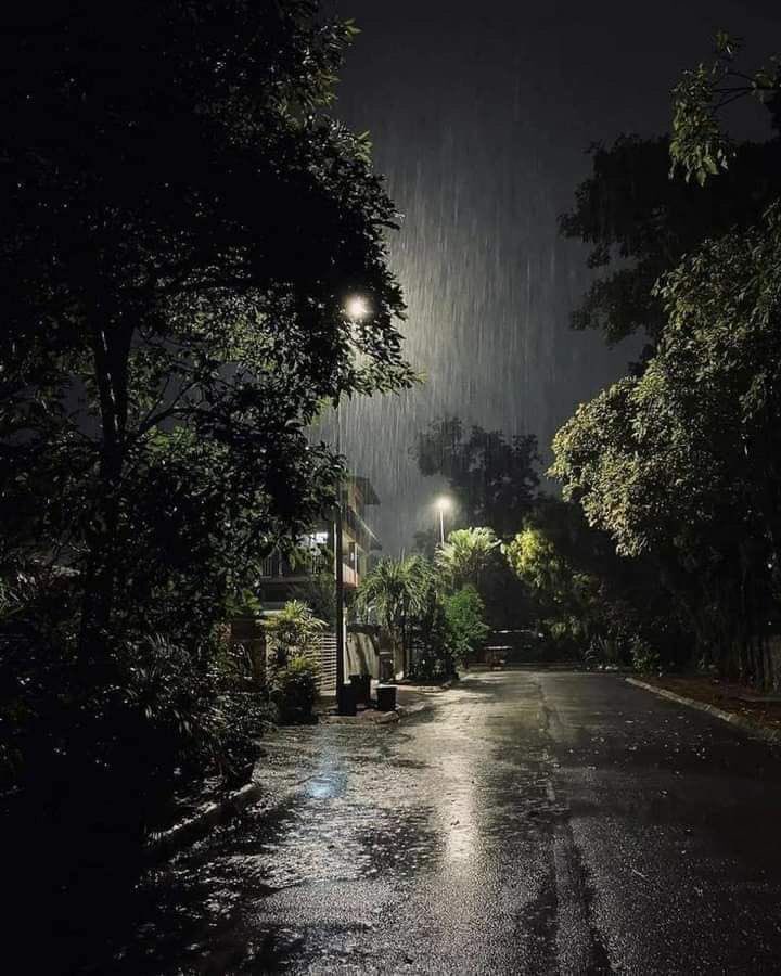 gIoomyweather's tweet image. rainy night.