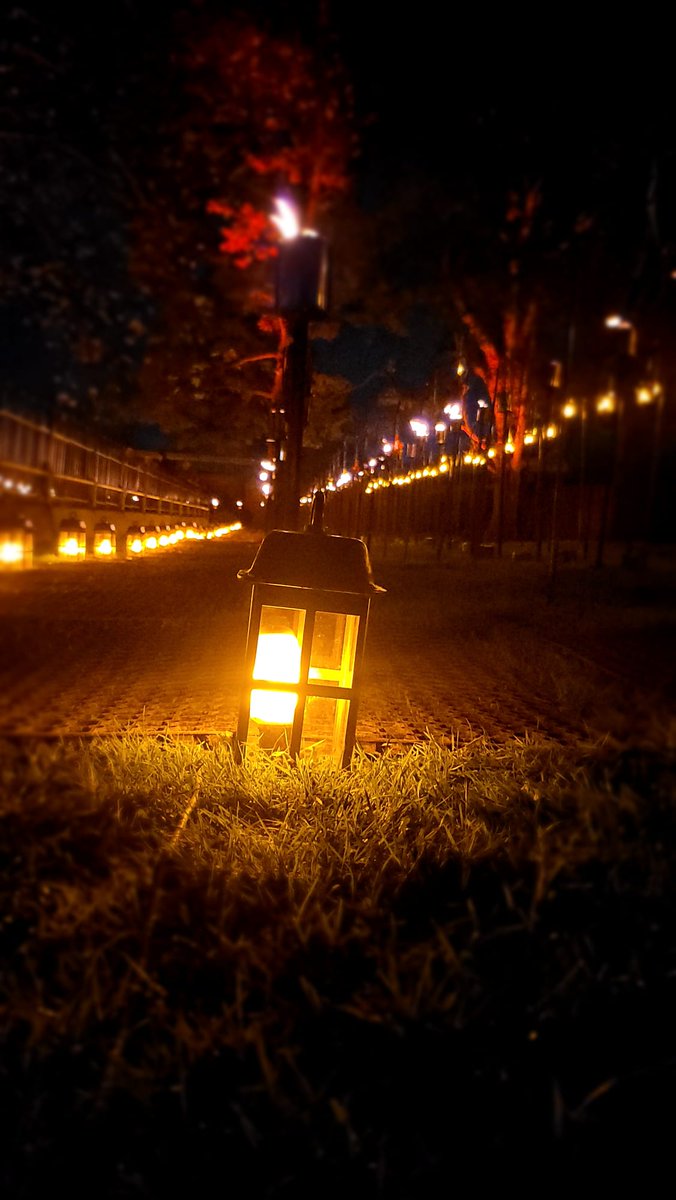 PSEventsCrew's tweet photo. Christmas at PS Events is well underway, with crew at Dunham Massey, Blenheim, Belton House and Chester Zoo. ❄  

The most Magical time of year for all and we are proud to be a part of all your favourite Christmas trails.   
❤️💙🖤❤️  
 
#sitecrew #psevents #productioncrew https://t.co/hmSukYmELZ