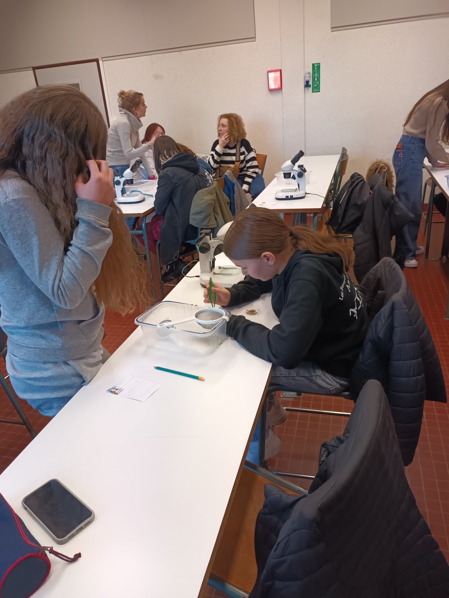 Tutorat entre des secondes et des 6ème <a href="/clgannefrank/">Collège Anne Frank</a>     sur la carpologie (étude des graines en archéologie)  <a href="/Inrap_ActuGE/">Actualités Inrap Grand-Est</a> <a href="/SaintDizierFR/">Saint-Dizier</a>