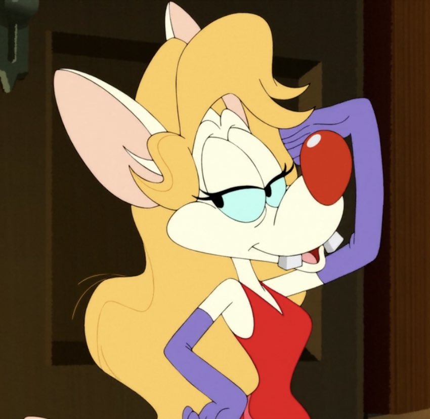 daily pinky and the brain! tweet media