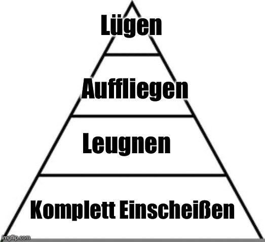 Das eigentliche FDP Strategiepapier