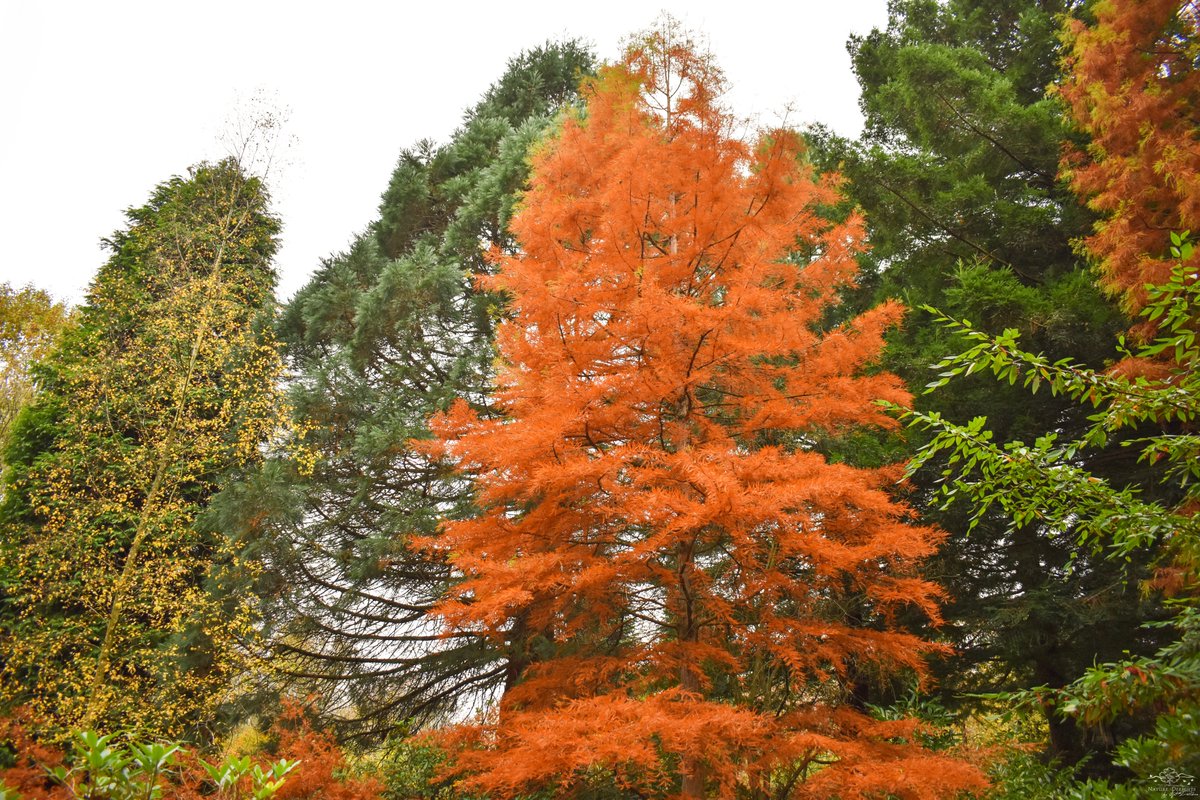 Nature Delights tweet media