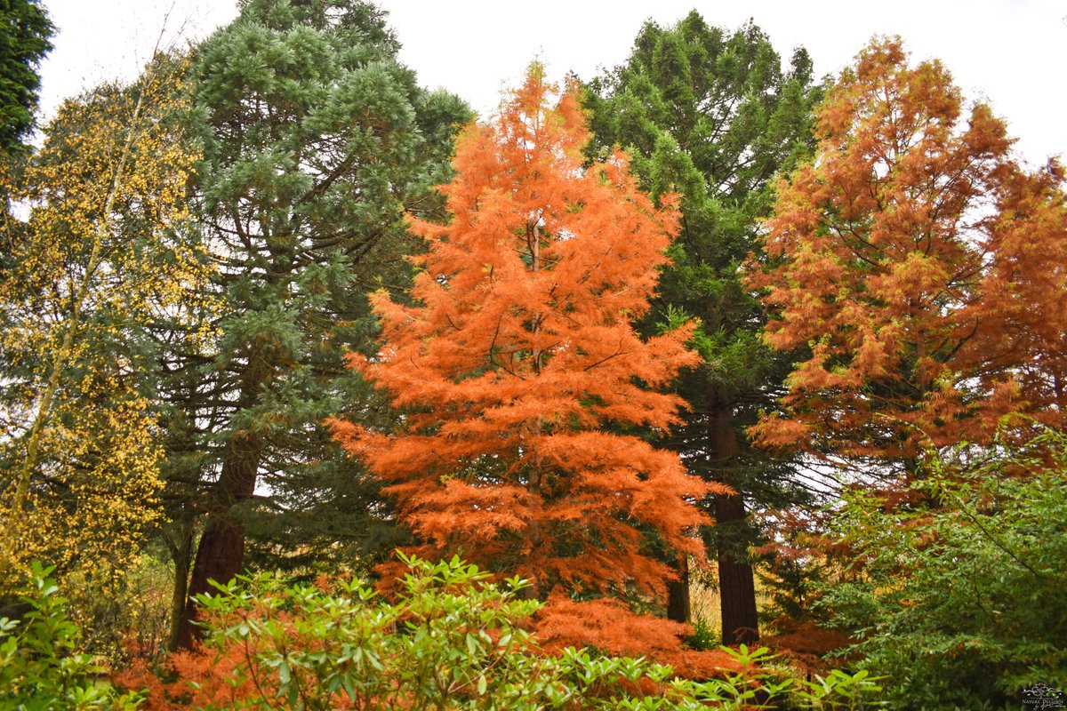 Nature Delights tweet media