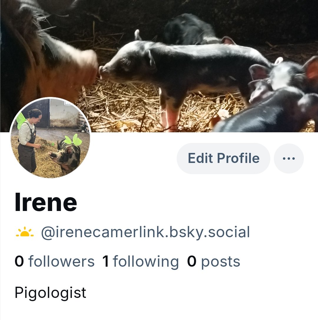 See you at Blue Sky 🦋bsky.app/profile/irenec…