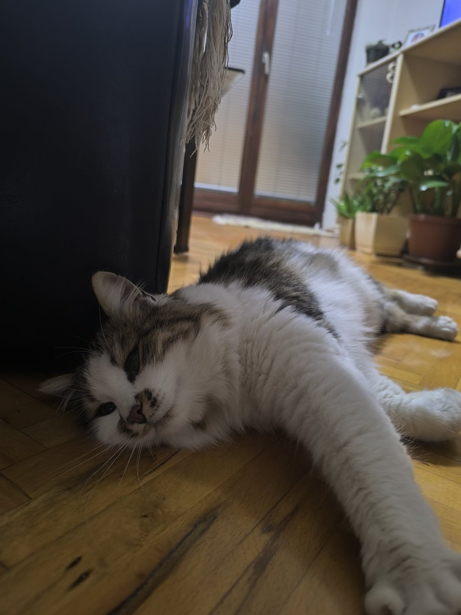 morgianaaaa's tweet photo. Крофна 🥯 https://t.co/g4F3B0eRtr