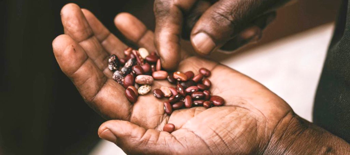 Passionate about global food security &amp; preserving indigenous #FoodSystems ? Be part of the solution!
Join the eConsultation on Food Security&amp;Nutrition under the World #FoodSecurity
Consultation open till 13/12
Contributions welcm in English French Spanish
lnkd.in/dx4ZyQK4