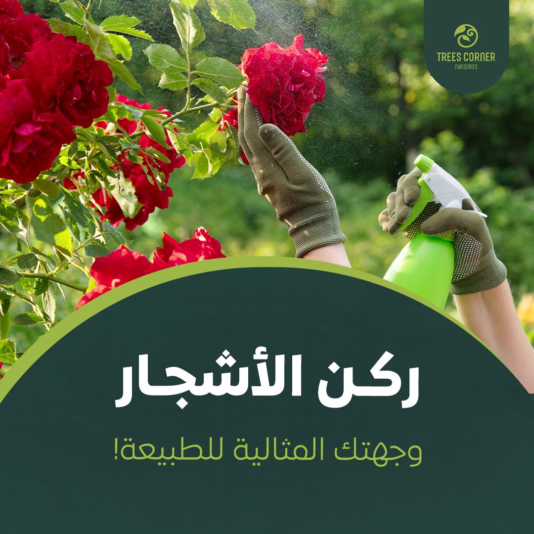 Trees Corner - ركن الأشجار (@cornertrees) / Posts / X