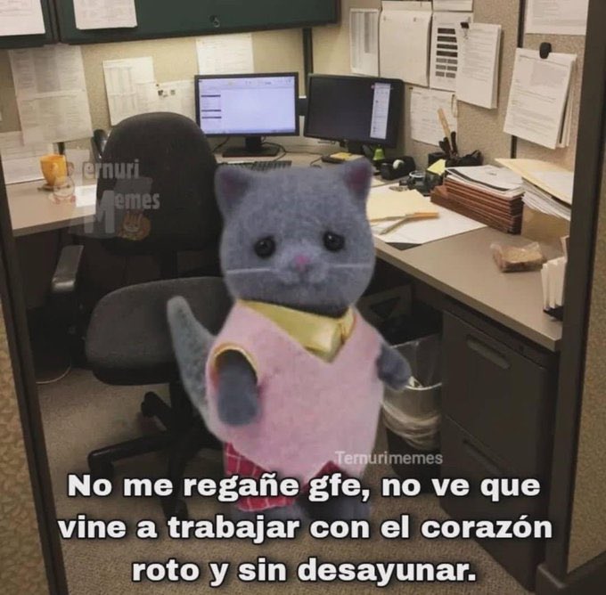 Pervermantico's tweet photo. Tranquilo jefe :( https://t.co/4UDpzSDqwh