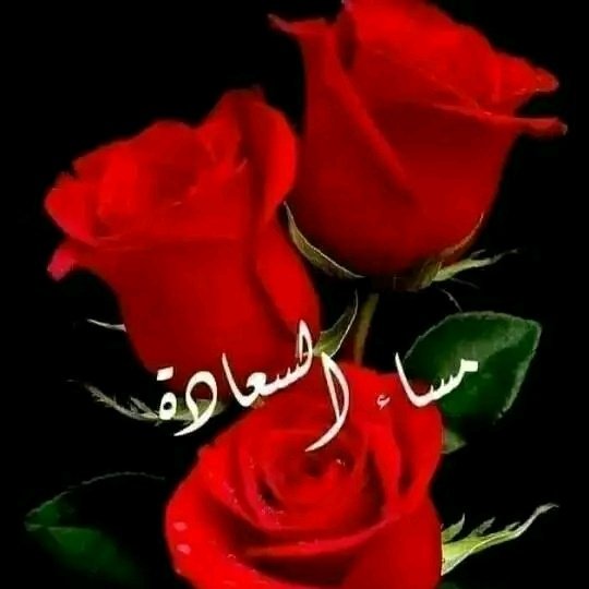 #صورة_ملف_شخصي_جديدة