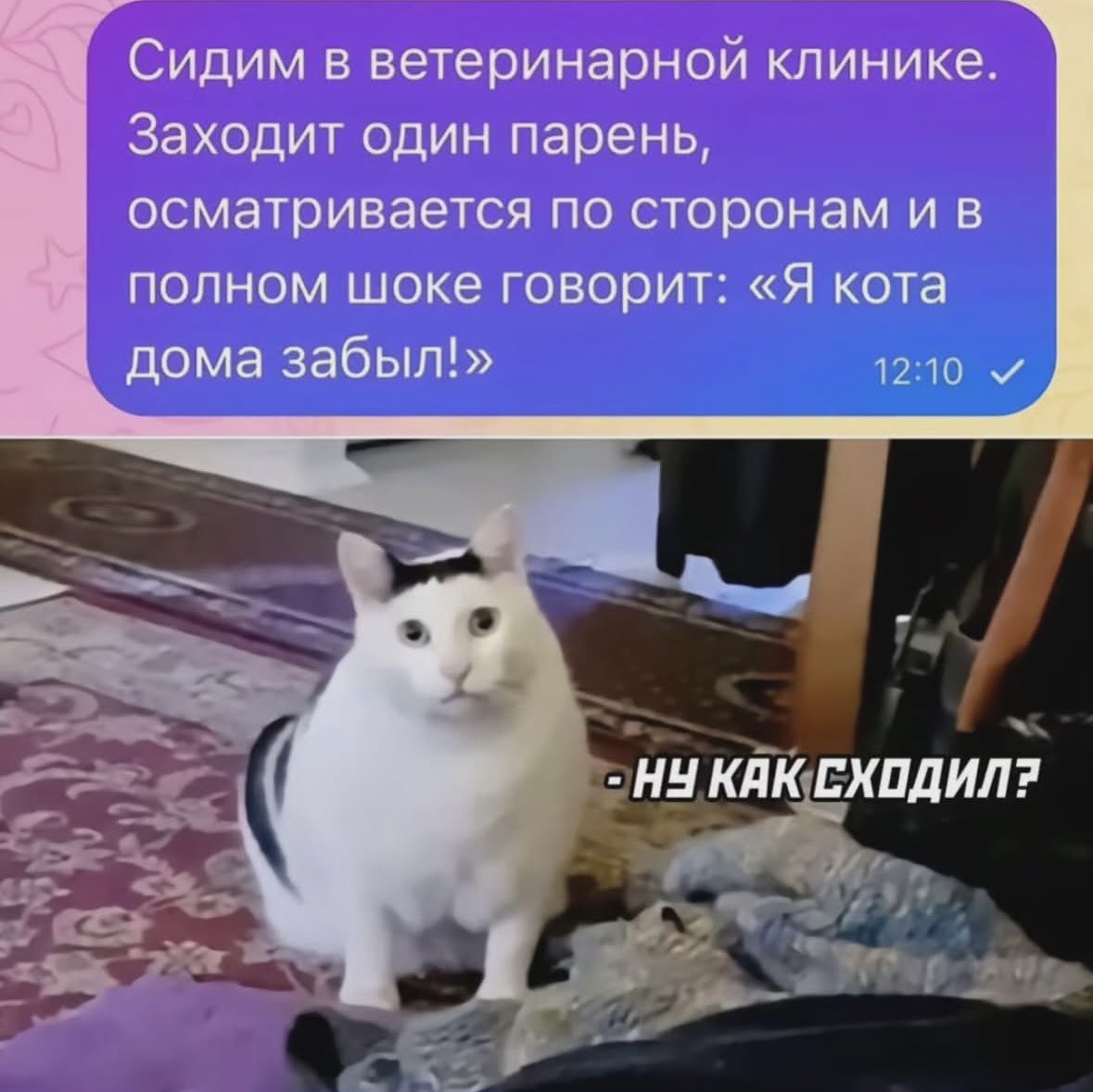 Ку tweet media