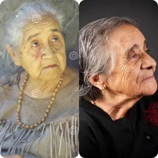 Native American tweet media