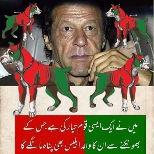 🇵🇰Faisal🇵🇰 tweet media